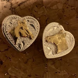 Montana Silversmith earrings